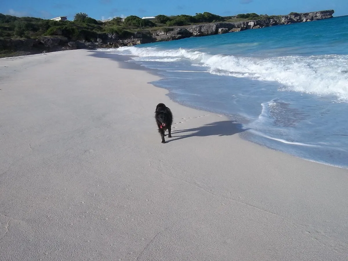 Ocean Ridge At Long Beach Christ Church 0*,  Barbados