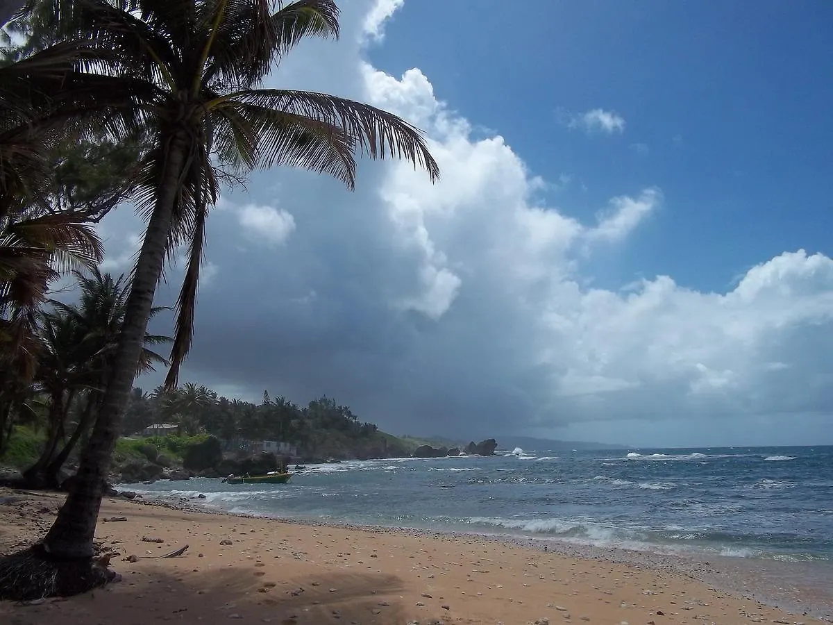 Apartment Ocean Ridge At Long Beach Christ Church Barbados